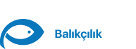 Cengiz Balıkçılık